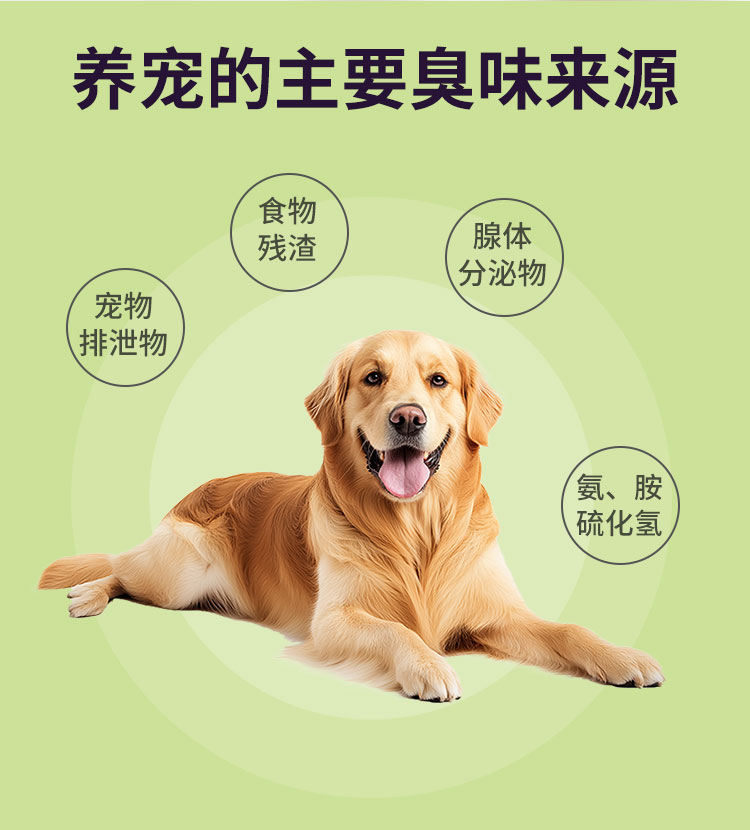 详情_02